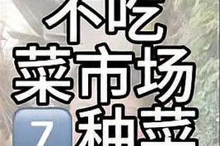 开云ky登录截图3